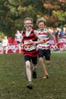 Boys under-13s, National Cross Country Relays, Berry Park, Mansfield. Photo: David T. Hewitson/Sports for All Pics